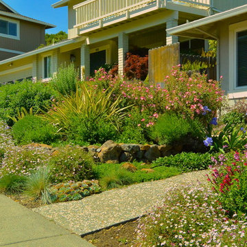 Mediterranean Cottage Garden