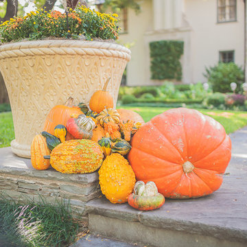 Fall Seasonal Pumpkins and Halloween Displays