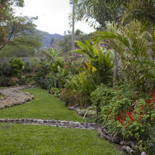 back yard inspiration