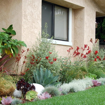 Colorful front yard