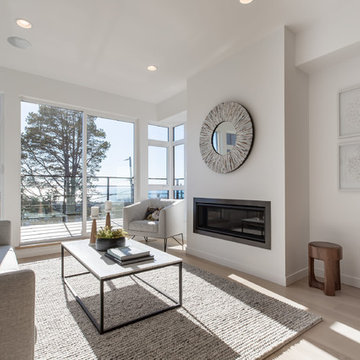 Living Room - Transitional
