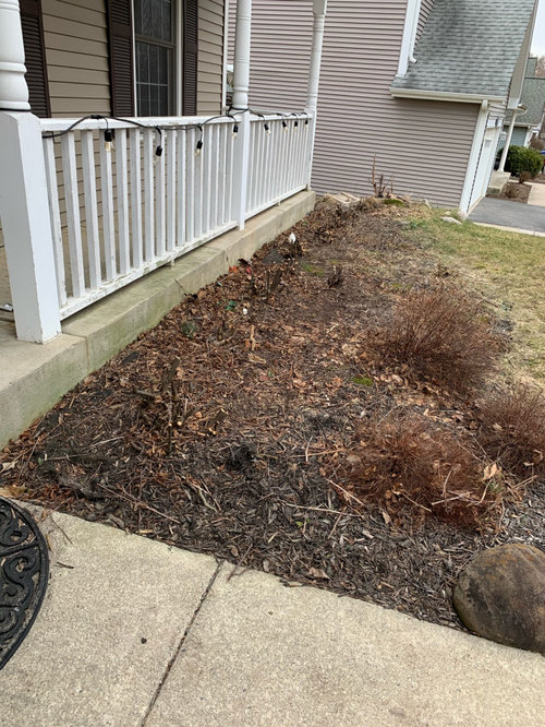 How to remove shrubs with weed barrier? HELP