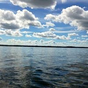Lori Jansen's photo