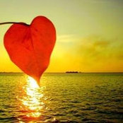 Severine Sev's photo