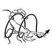 Varoon Singh's photo