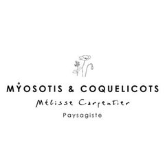 Myosotis & Coquelicots