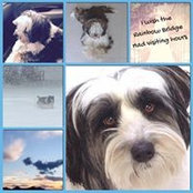 Heather Goldberg's photo