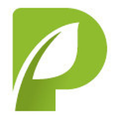 Pronto Services