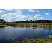 Lynn Pennington's photo