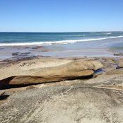 Susan Pallesen's photo