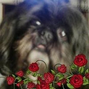 Kathy Hoefling's photo