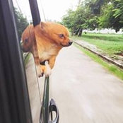 Nui Nawinda's photo