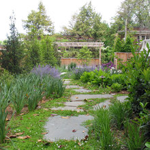 Venice back yard