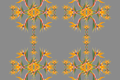 Bird of Paradise Design - Wallpaper & Fabric
