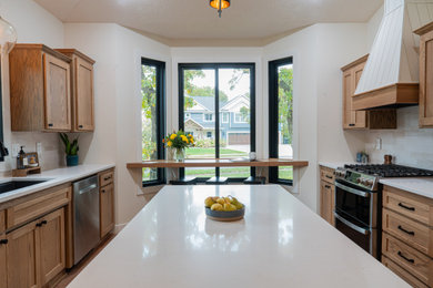 Transitional home design photo in Minneapolis