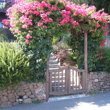 Landscape Design & Installation