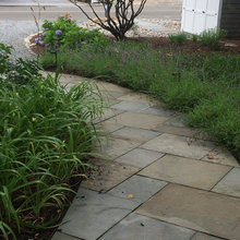 M Liske Front Yard