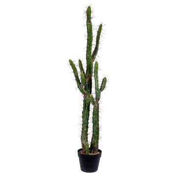 Vickerman 46" Artificial Green Cactus, Black Plastic Planters Pot