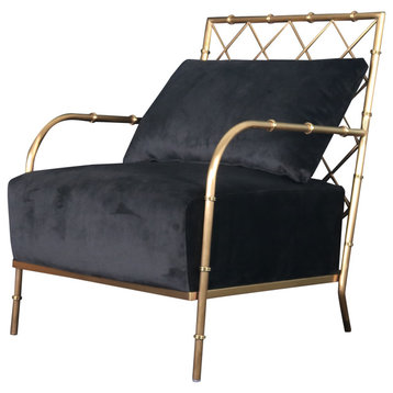 Divani Casa Ignacio Glam Black Velvet and Gold Accent Chair