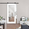 Mirrored Sliding Barn Door with Mirror Insert + Carbon Steel Hardware Kit, 40"x84" Inches, 1 Mirror/Front, Painted (Finish)