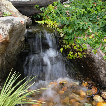 Water Features