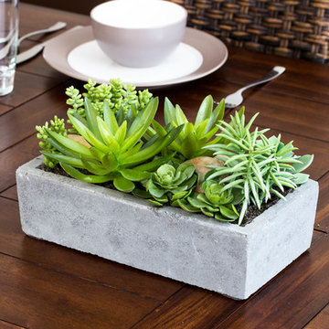 Wooden Dining Table with Wicker Chairs and Succulent Centerpiece