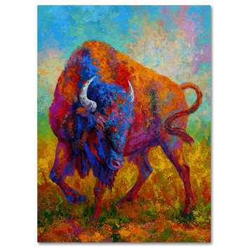 Marion Rose 'Bison Bull 1' Canvas Art, 18" x 24"