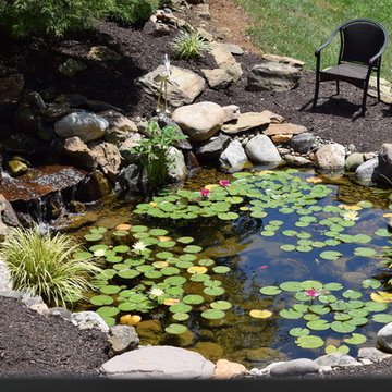 Ponds and Streams