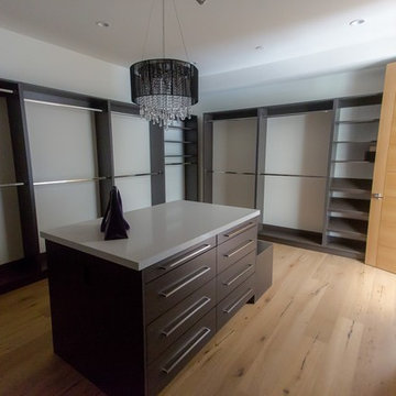 Sherman Oaks Dream Home