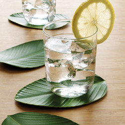 Jungle Leaf Coasters - Set of 8 - Coasters