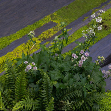 Aménagement jardin