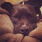 Amy Strathdee's photo