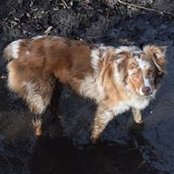 Janet McVay's photo
