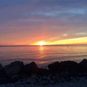 Julie Schulte's photo