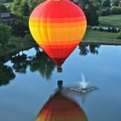 Logan Bedford's photo