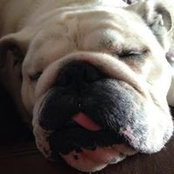 Lorraine Crane's photo