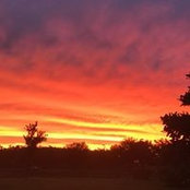 Sandra Paloma's photo