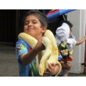 Rajiv Luthria's photo