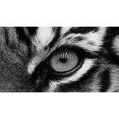 Marion Tilley-York's photo