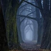 Kim Roe's photo