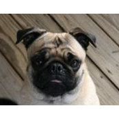 Debbie Harris's photo