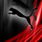 Akshay Bhardwaj's photo