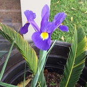Annette Norman's photo