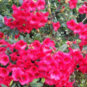 Nuria P's photo