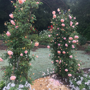 Montecito Italian Garden