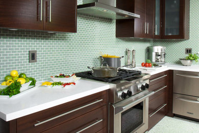 Example of a trendy kitchen design in Miami