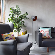 House Plants
