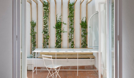 Fresh Ideas for Bringing Climbing Plants & Vines Into the Home