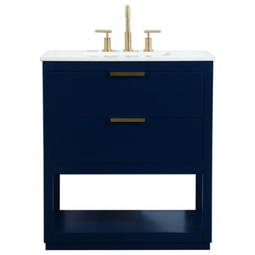 Elegant VF19230BL 30"Single Bathroom Vanity, Blue