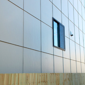Modern Exterior Remodel in Chicago, IL Hardie Panel Siding